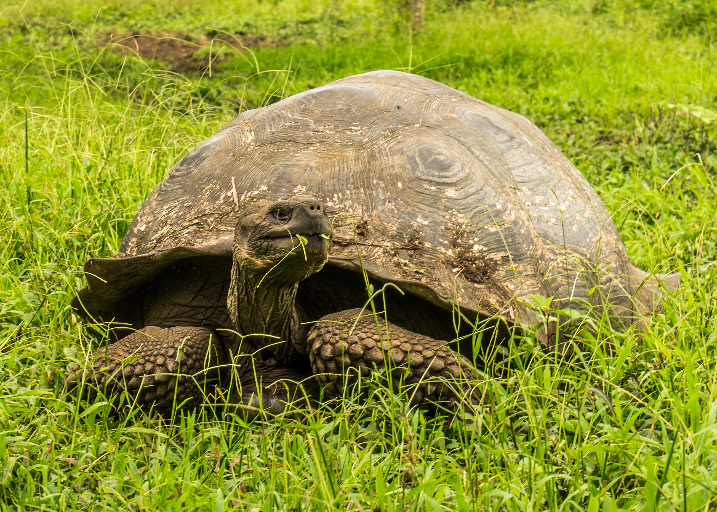 Charles Darwin Expedition