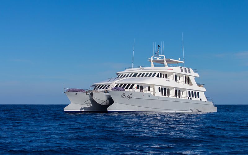Galápagos Cruise — Before the Wedding